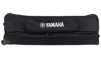 Luggage-Style Case for StagePas400i